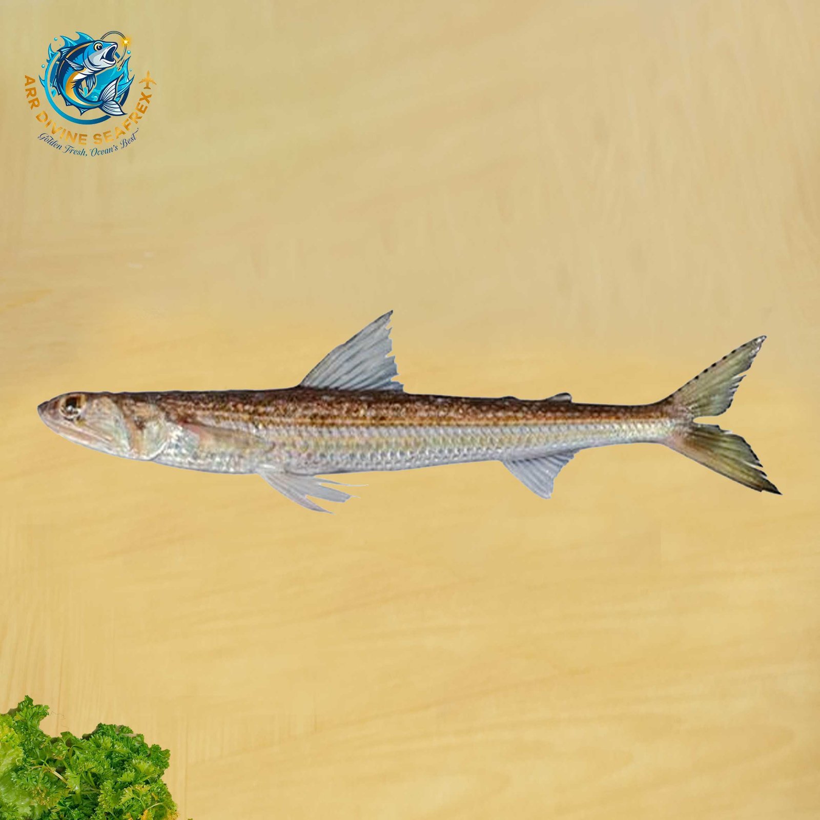 BRUSHTOOTH LIZARDFISH
