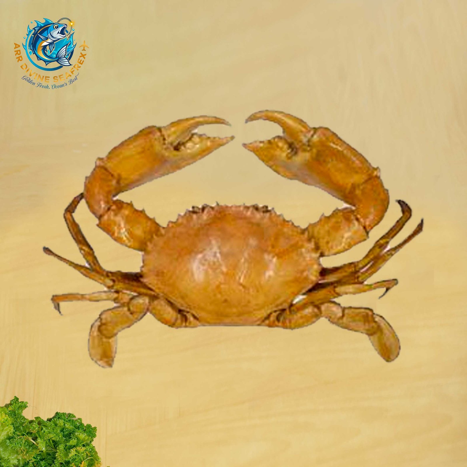 GIANT MUD CRAB