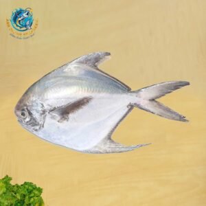 SILVER POMFRET