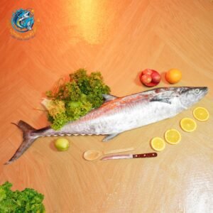SPANISH MACKEREL